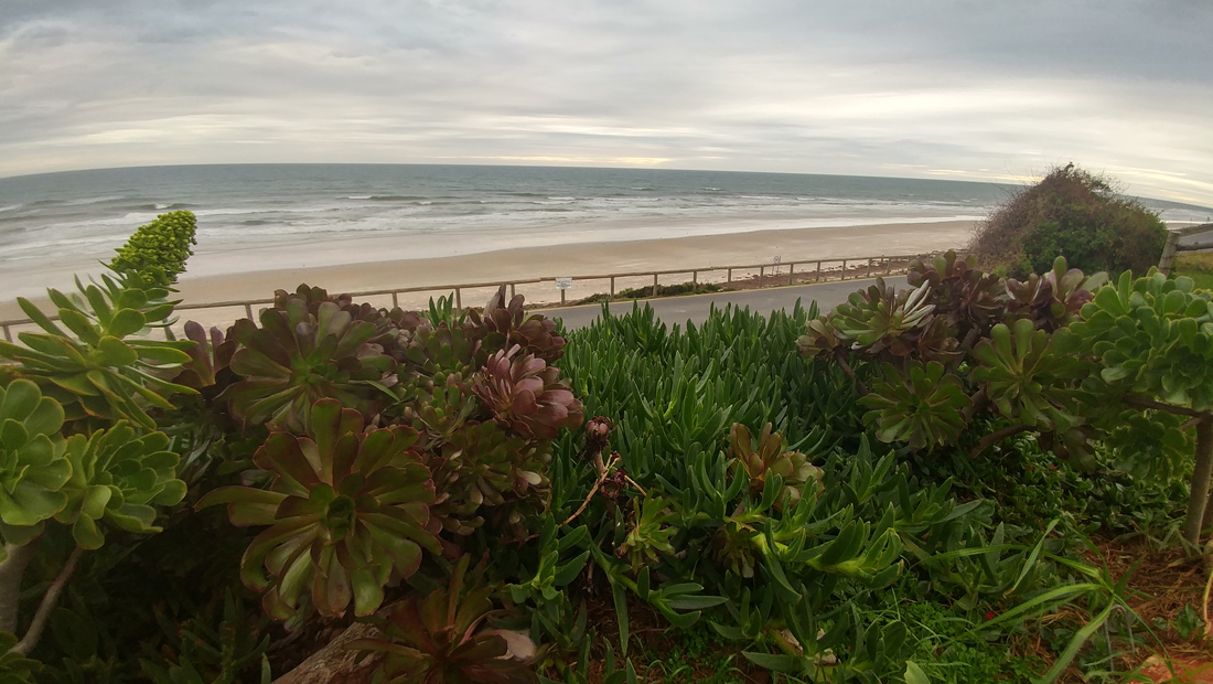 Take some time to meditate on the winter seas, and the meaning of life.